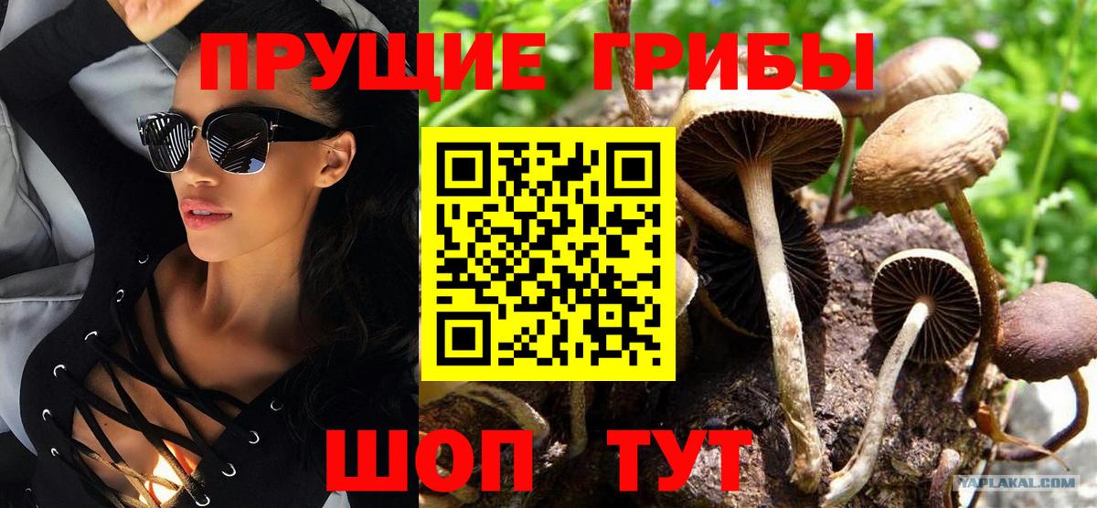 Галлюциногенные грибы MAGIC MUSHROOMS Лесной