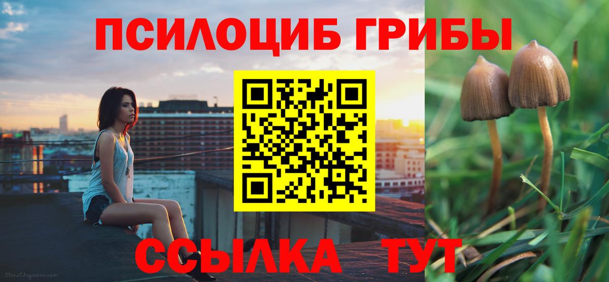 Псилоцибиновые грибы Cubensis  купить наркотики сайты  Галлюциногенные грибы Psilocybine cubensis  Лесной  Вход с VPN 